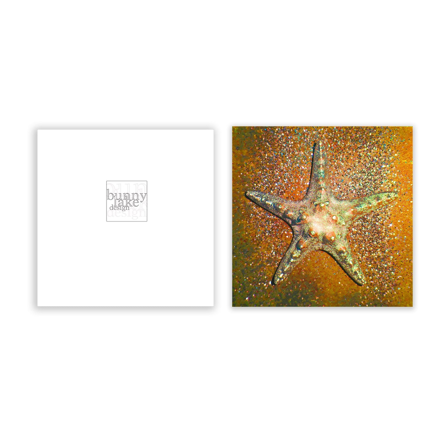 Christmas Star Greeting Card Bundle