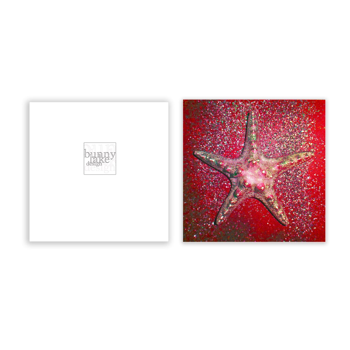 Christmas Star Greeting Card Bundle
